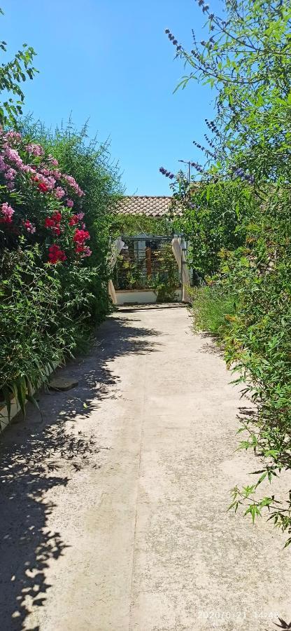 Secret Garden - Chez Gilles Et Tra - Maison D Hote -T2 Super Mignon, Neuf Et Independant , Dans Cadre Agreable Et Zen Valergues エクステリア 写真